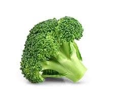 Broccoli