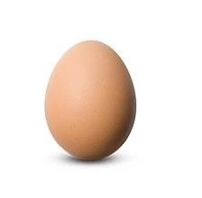 Egg