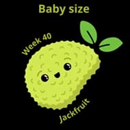 Baby size at 40 weeks jackfruit