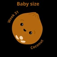 Baby size at 31 weeks coconut