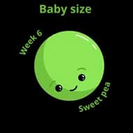 Baby size at 6 weeks sweet pea