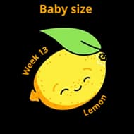 Baby size at 13 weeks lemon